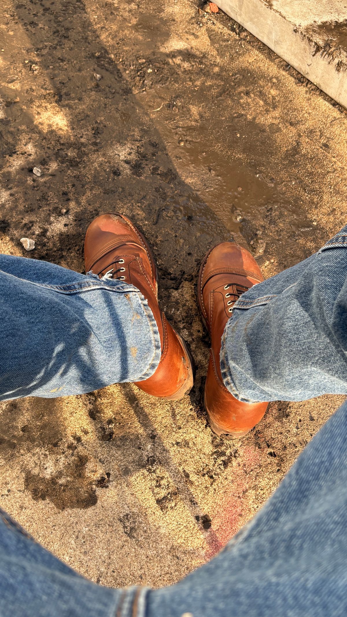 Photo by BUMMYNATE on July 4, 2026 of the Red Wing Iron Ranger in S.B. Foot Amber Harness.