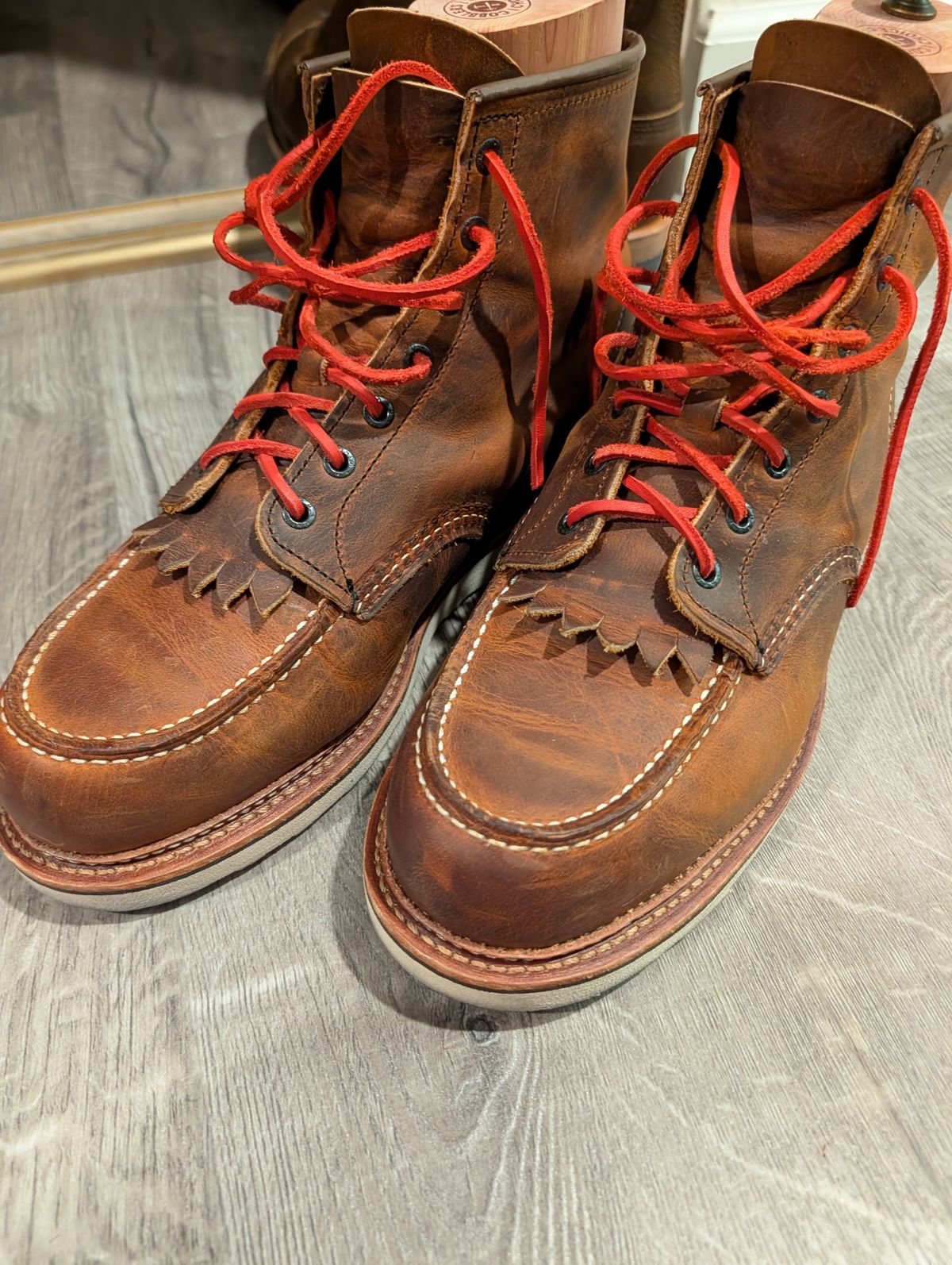 Photo by Johnnyknocks on February 8, 2026 of the Red Wing 6-Inch Classic Moc in S.B. Foot Copper Rough and Tough.