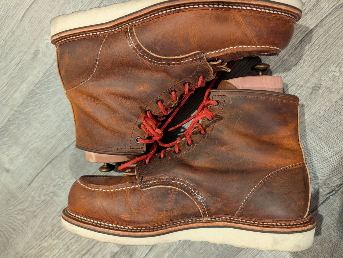 Photo by Johnnyknocks on March 6, 2026 of the Red Wing 6-Inch Classic Moc in S.B. Foot Copper Rough and Tough.