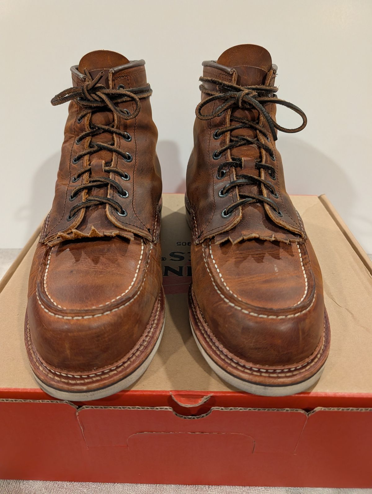 Photo by Johnnyknocks on April 23, 2026 of the Red Wing 6-Inch Classic Moc in S.B. Foot Copper Rough and Tough.