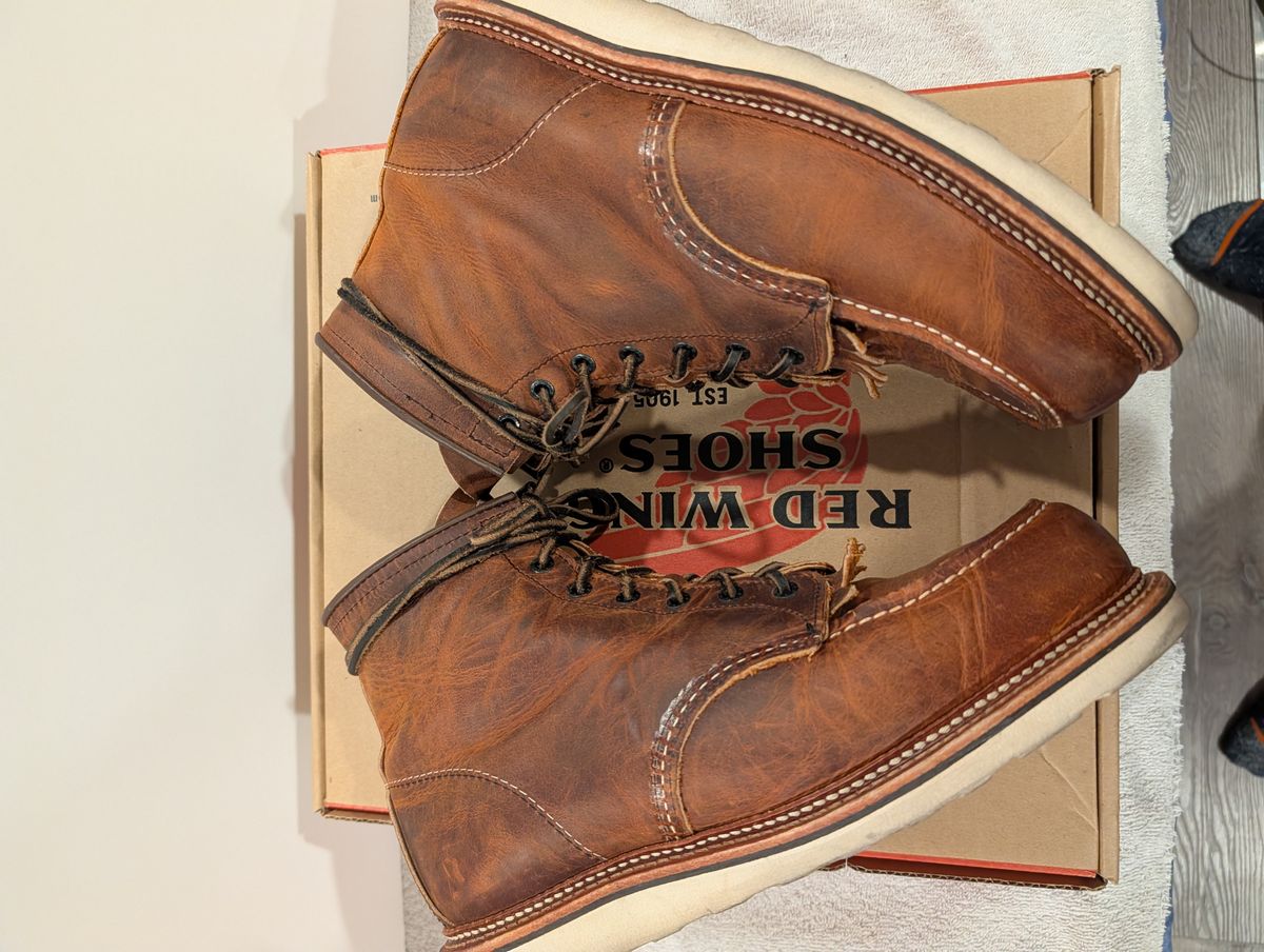 Photo by Johnnyknocks on April 23, 2026 of the Red Wing 6-Inch Classic Moc in S.B. Foot Copper Rough and Tough.