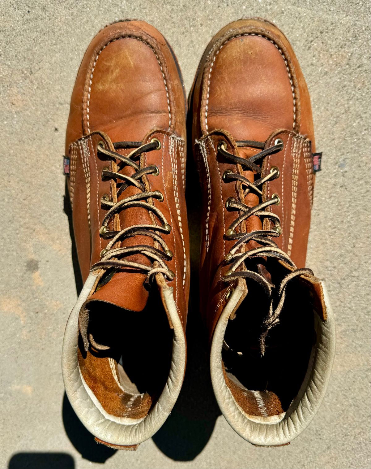 Photo by hambsc on August 12, 2024 of the Thorogood American Heritage 6" Moc Toe in Tobacco Gladiator Oil-Tanned.