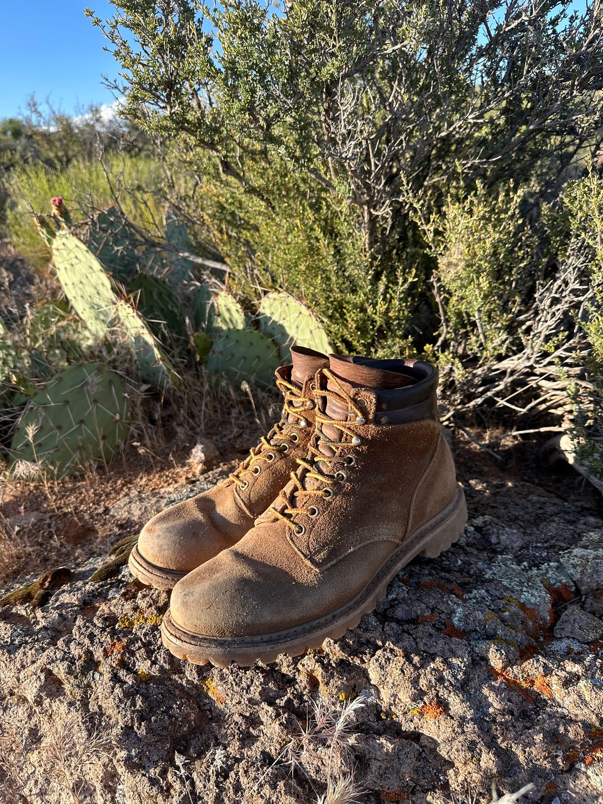 Photo by Sudsy on May 30, 2024 of the White's Chore Boot in Unknown Leather.