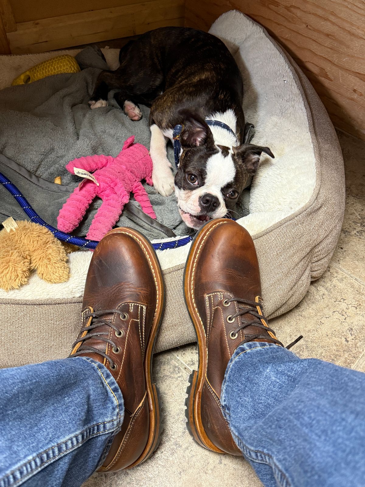 Photo by sweatpantszach on June 30, 2025 of the Truman Plain Toe Boot in Tobacco Snakebite.
