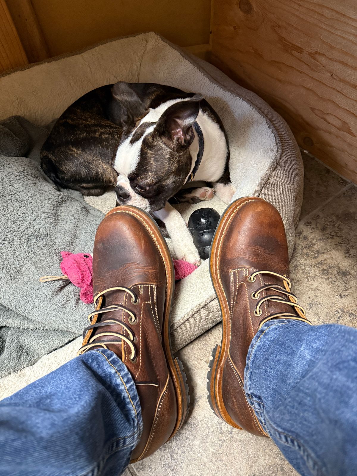 Photo by sweatpantszach on July 30, 2025 of the Truman Plain Toe Boot in Tobacco Snakebite.