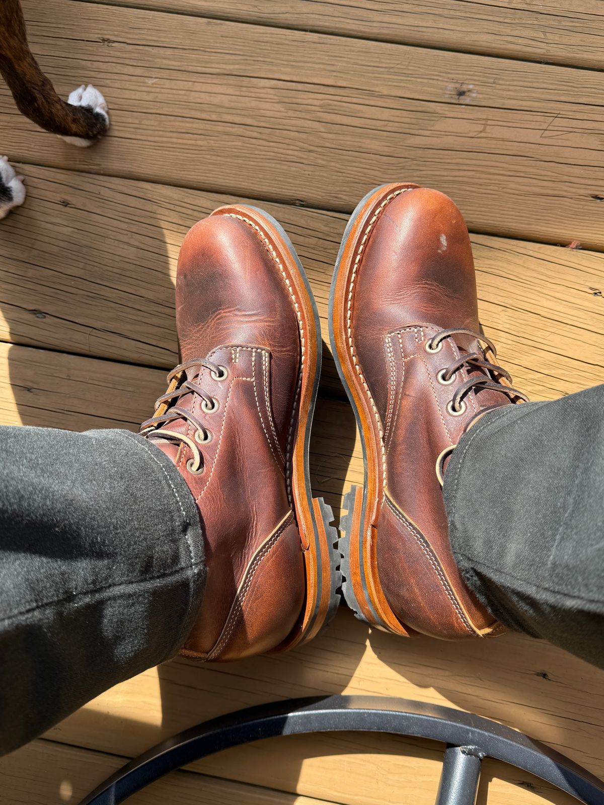 Photo by sweatpantszach on September 21, 2025 of the Truman Plain Toe Boot in Tobacco Snakebite.