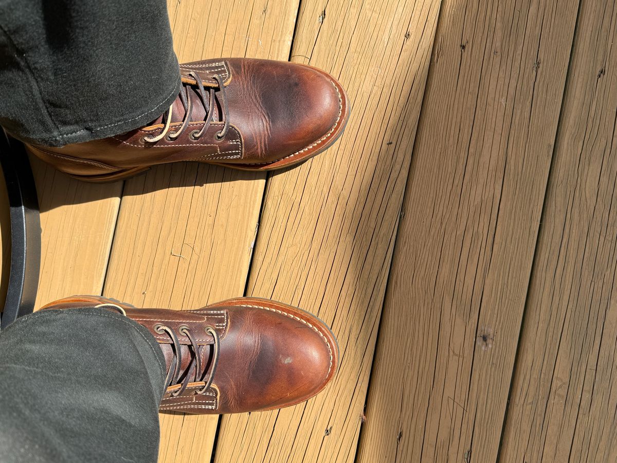 Photo by sweatpantszach on September 21, 2025 of the Truman Plain Toe Boot in Tobacco Snakebite.