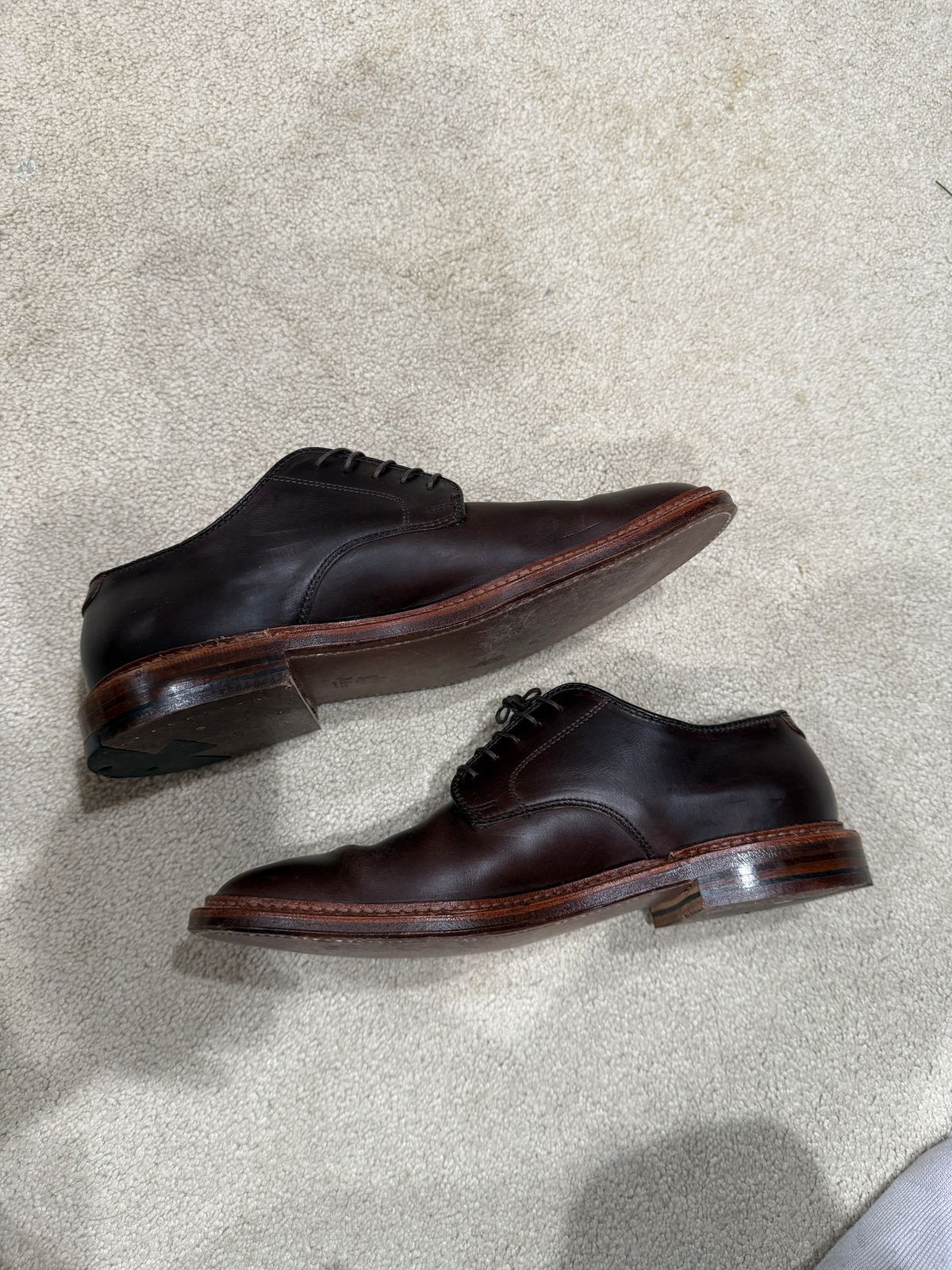Photo by sweatpantszach on April 20, 2025 of the Alden Plain Toe Blucher in Horween Brown Chromexcel.