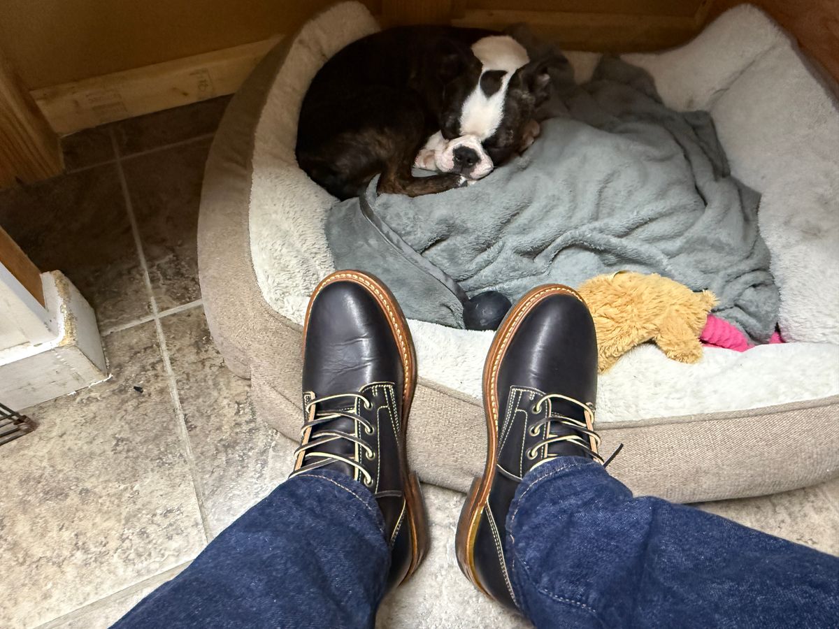 Photo by sweatpantszach on July 14, 2025 of the Truman Plain Toe Boot in Black Teacore.