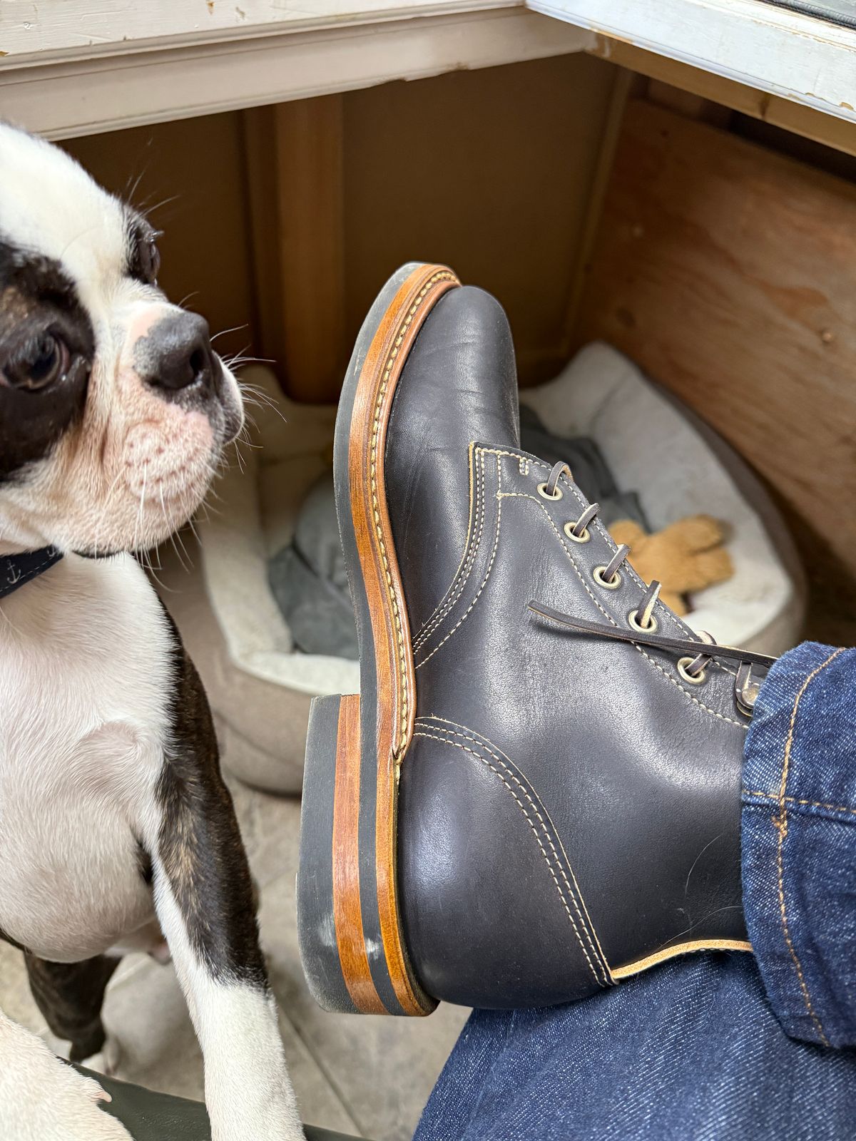 Photo by sweatpantszach on July 14, 2025 of the Truman Plain Toe Boot in Black Teacore.