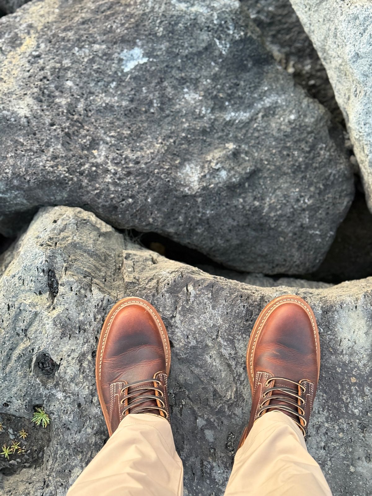 Photo by sweatpantszach on August 26, 2025 of the Truman Plain Toe Boot in Tobacco Snakebite.