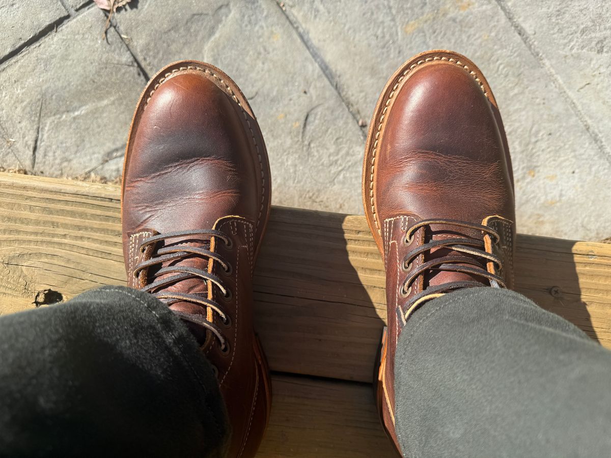 Photo by sweatpantszach on October 3, 2025 of the Truman Plain Toe Boot in Tobacco Snakebite.