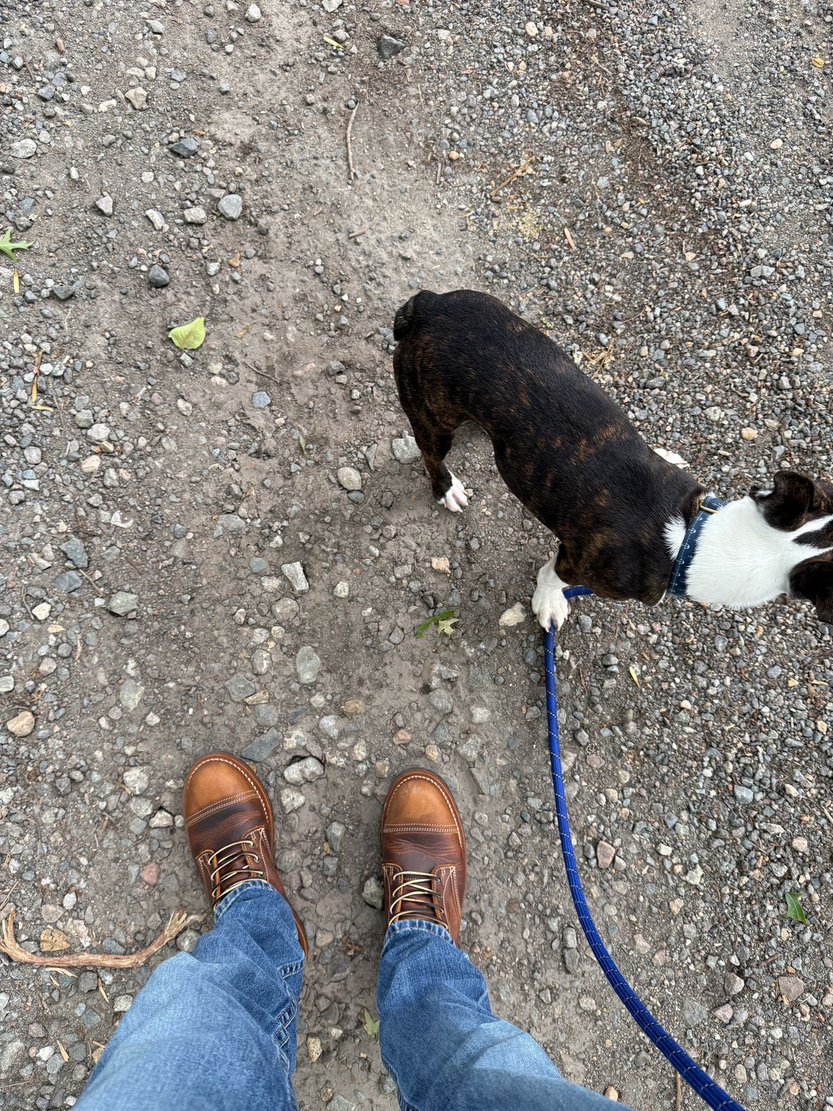 Photo by sweatpantszach on July 31, 2025 of the Truman Upland Boot in Tobacco Snakebite.