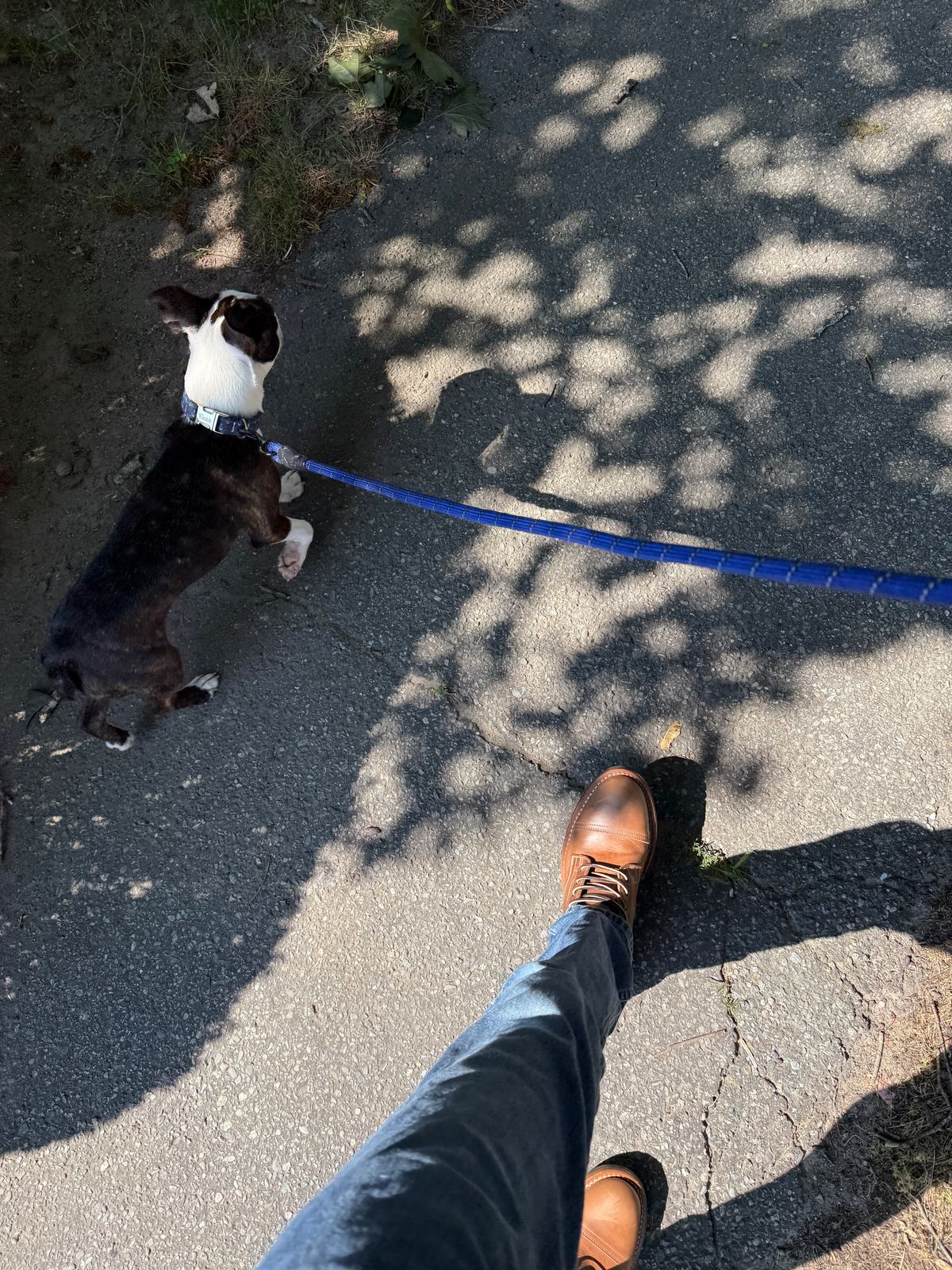 Photo by sweatpantszach on July 21, 2025 of the Truman Cap Toe Boot in Seidel Sesame Double Shot.