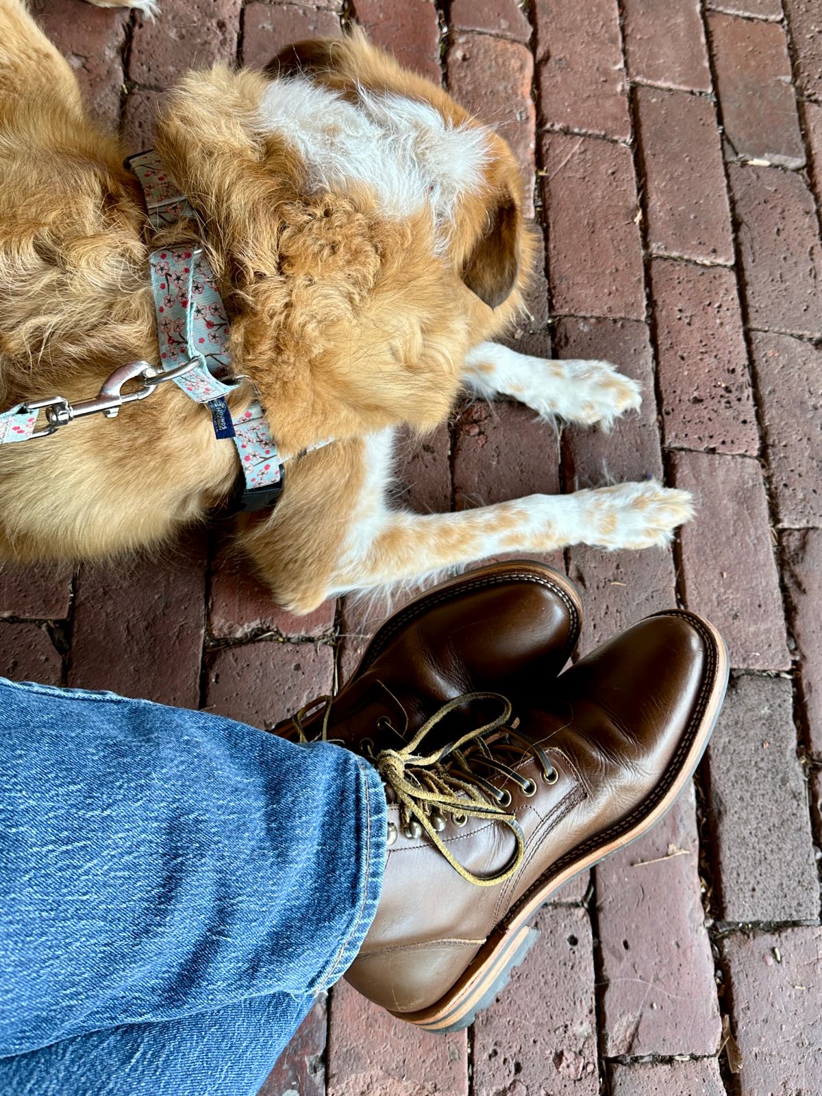 Photo by dawnpatrol on March 29, 2026 of the Parkhurst The Allen in Italipel Caramel Teacore Veg Tan.