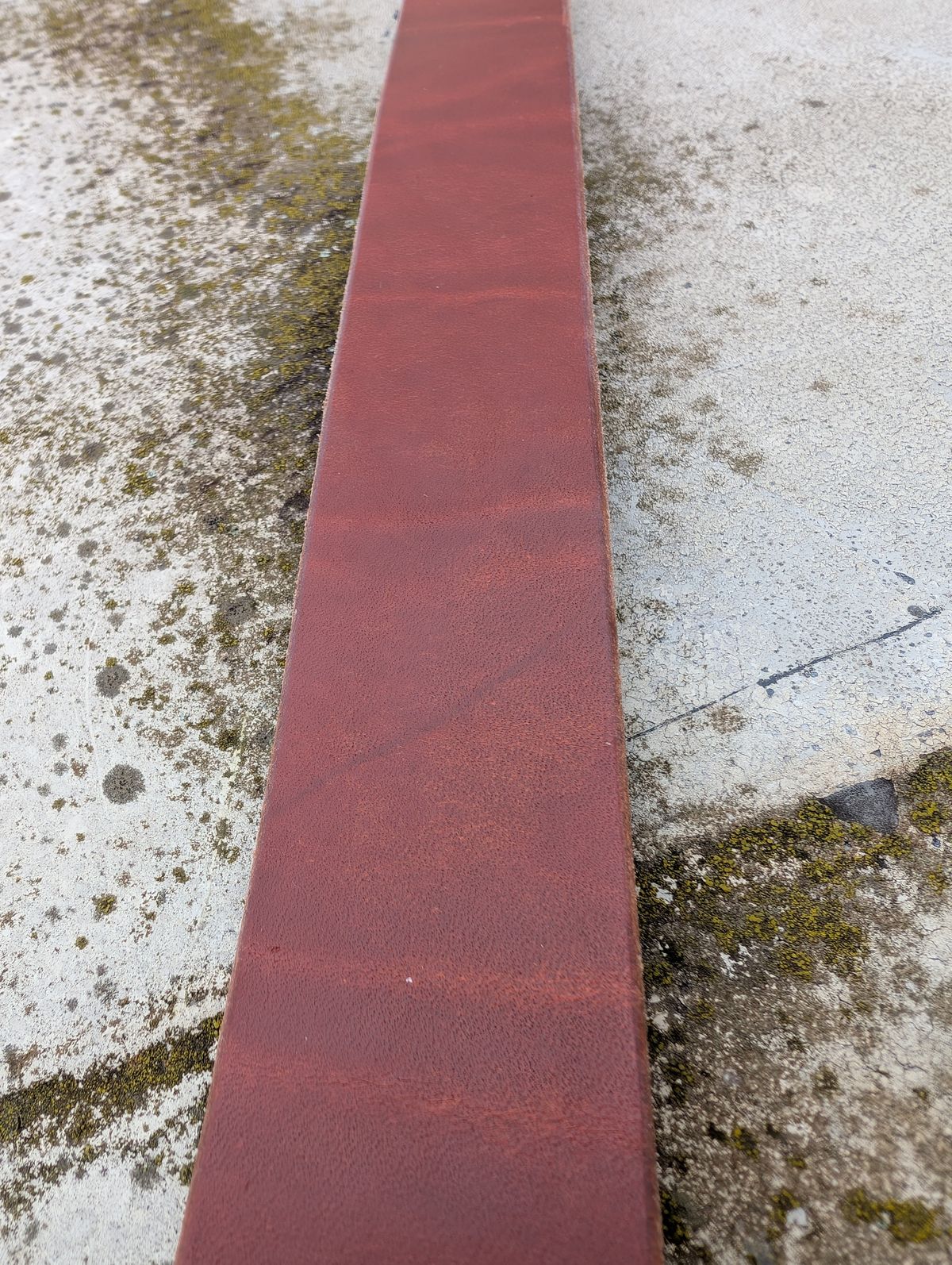 Photo by Gauffrier on November 1, 2025 of the Nicks Heavy duty Work Belt in Wickett & Craig Natural Double Stuffed.