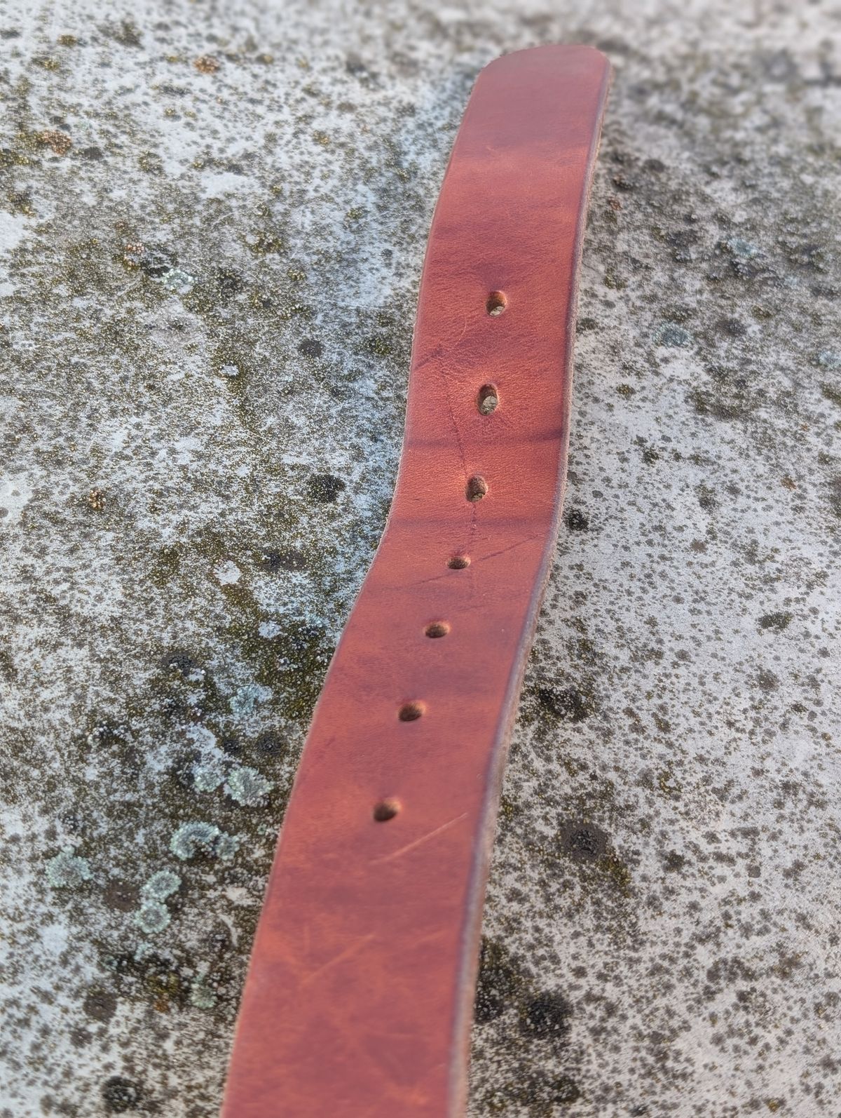 Photo by Gauffrier on December 1, 2025 of the Nicks Heavy duty Work Belt in Wickett & Craig Natural Double Stuffed.