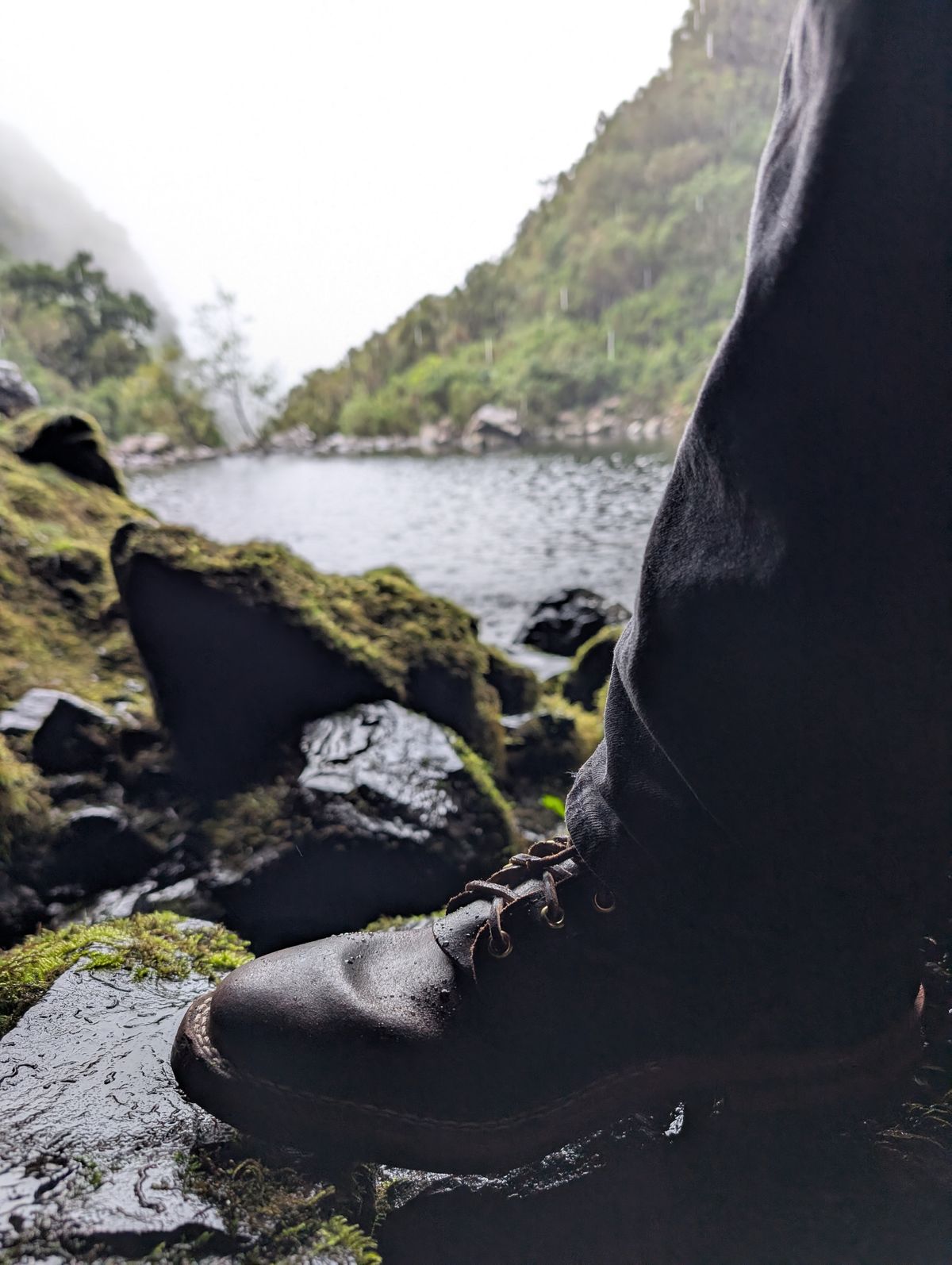 Photo by Gauffrier on November 11, 2025 of the Nicks Falcon in Horween Brown Waxed Flesh.