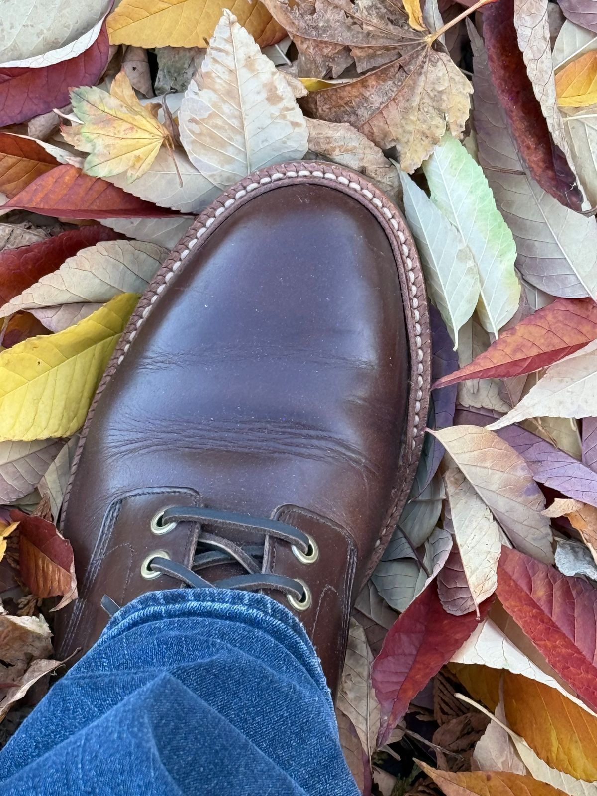 Photo by amosoma on October 22, 2025 of the Grant Stone Diesel Boot in Horween Crimson Chromexcel.