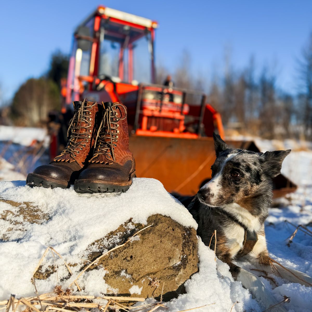 Photo by BragiGG on March 1, 2026 of the Drew's Boots 8-Inch Logger in Bison Congnac / Brown roughout.