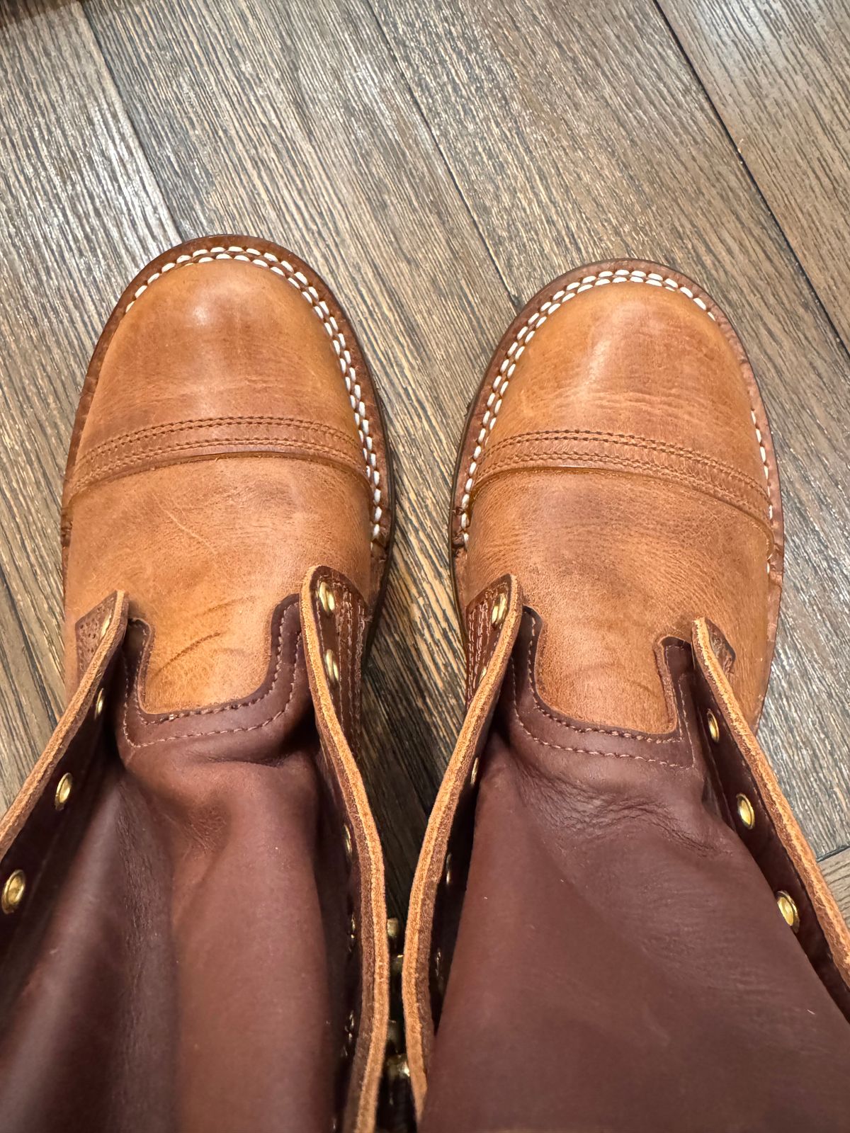 Photo by sjs426 on January 23, 2026 of the Nicks Americana in Italian Brown Cypress.