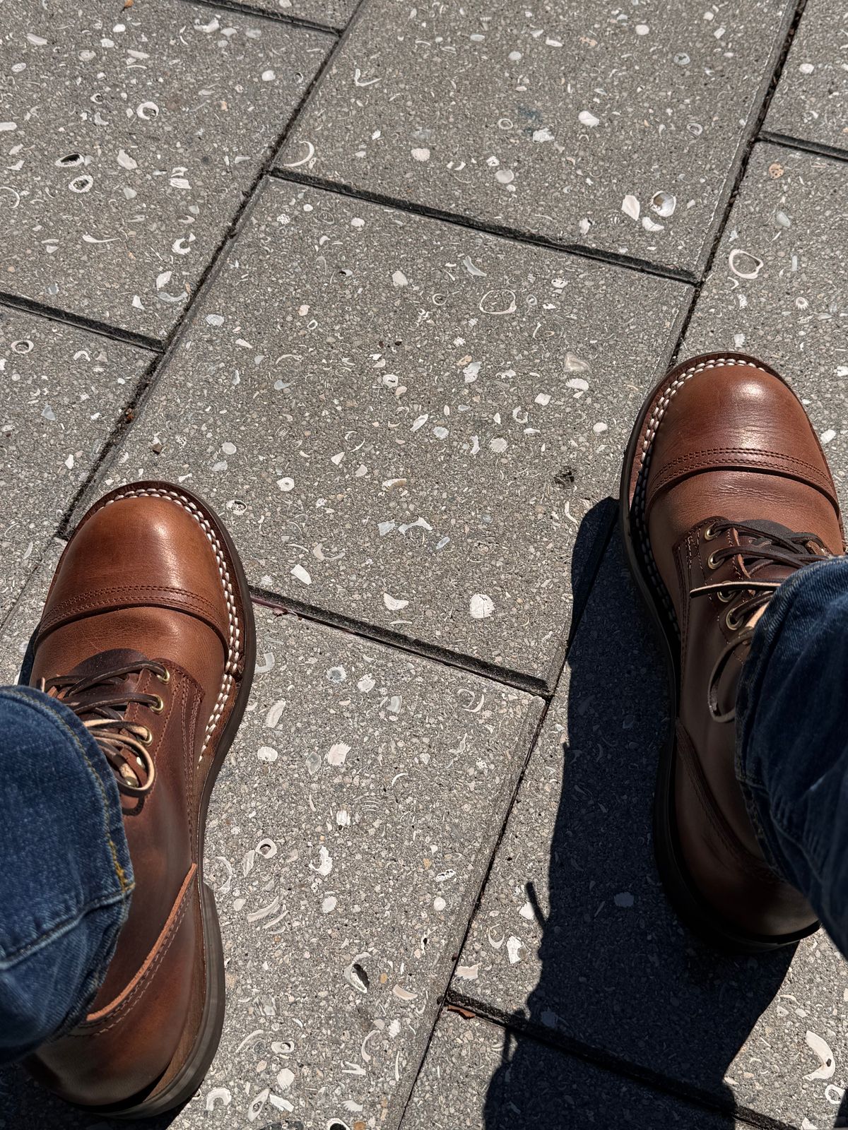 Photo by sjs426 on February 8, 2026 of the Nicks Americana in Italian Brown Cypress.