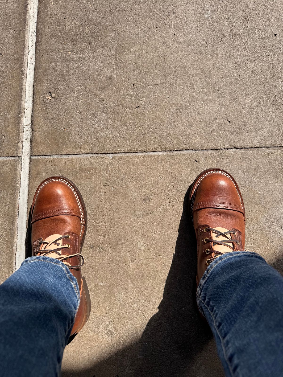 Photo by sjs426 on March 8, 2026 of the Nicks Americana in Italian Brown Cypress.