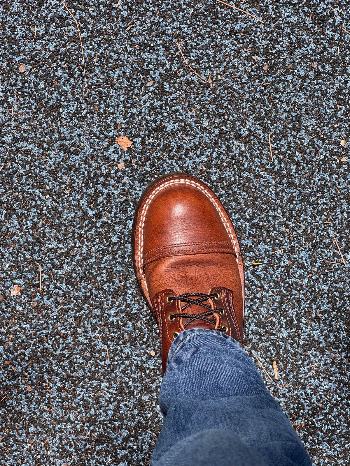 Photo by sjs426 on June 13, 2026 of the Nicks Americana in Italian Brown Cypress.