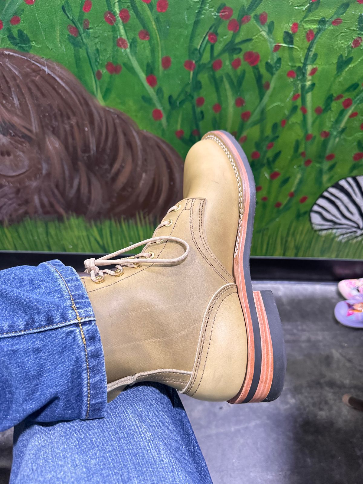 Photo by sjs426 on May 20, 2026 of the Nicks Falcon in Horween Sage Chromepak.
