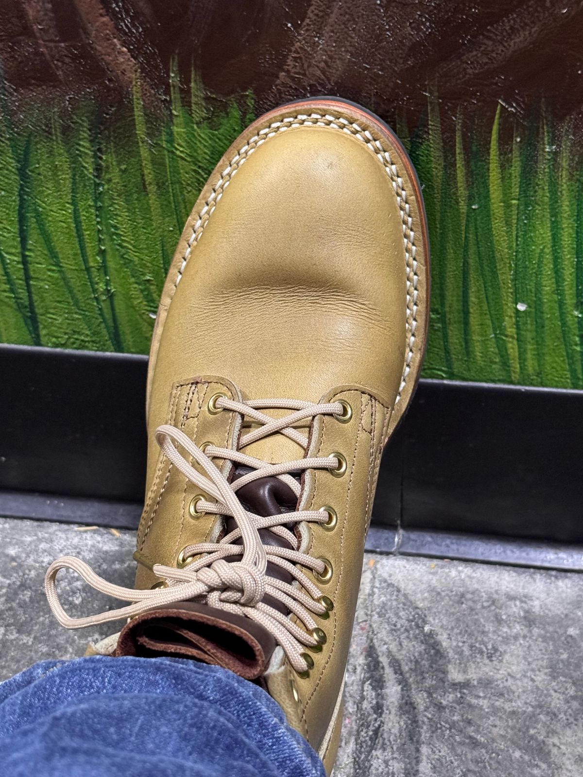 Photo by sjs426 on May 20, 2026 of the Nicks Falcon in Horween Sage Chromepak.