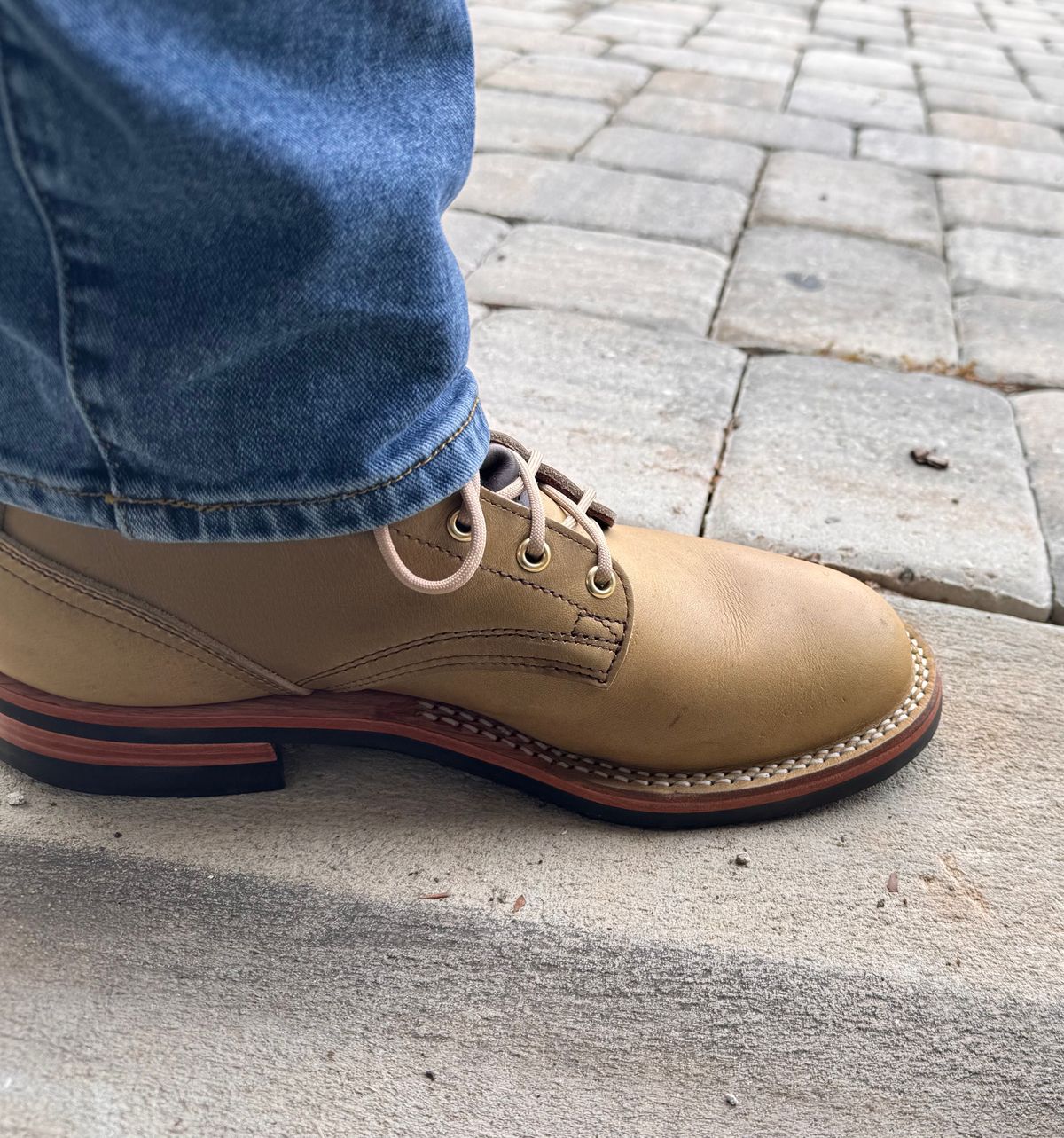 Photo by sjs426 on May 24, 2026 of the Nicks Falcon in Horween Sage Chromepak.