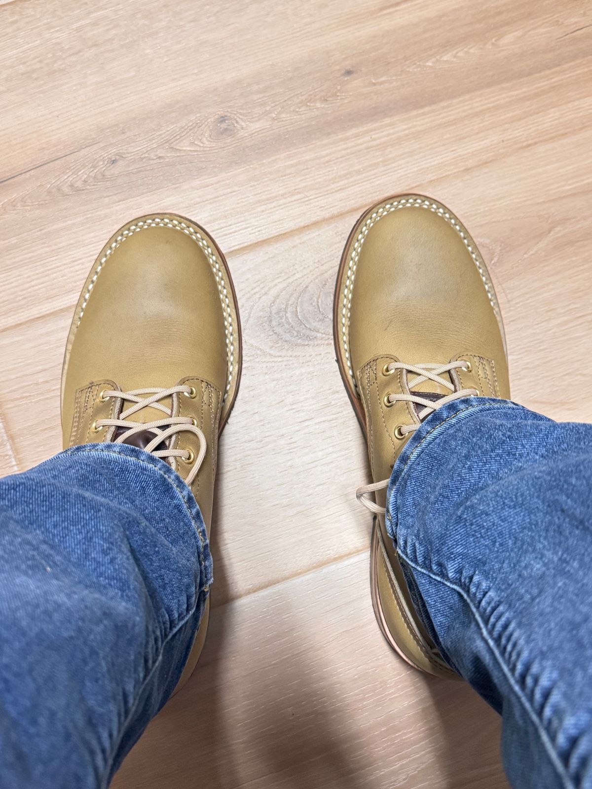 Photo by sjs426 on May 24, 2026 of the Nicks Falcon in Horween Sage Chromepak.