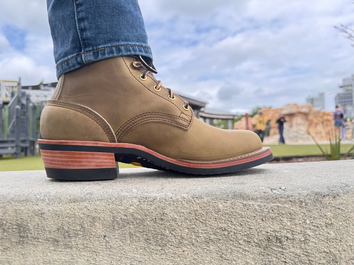 Photo by sjs426 on March 29, 2026 of the Nicks MTO in Sage Chromepak.