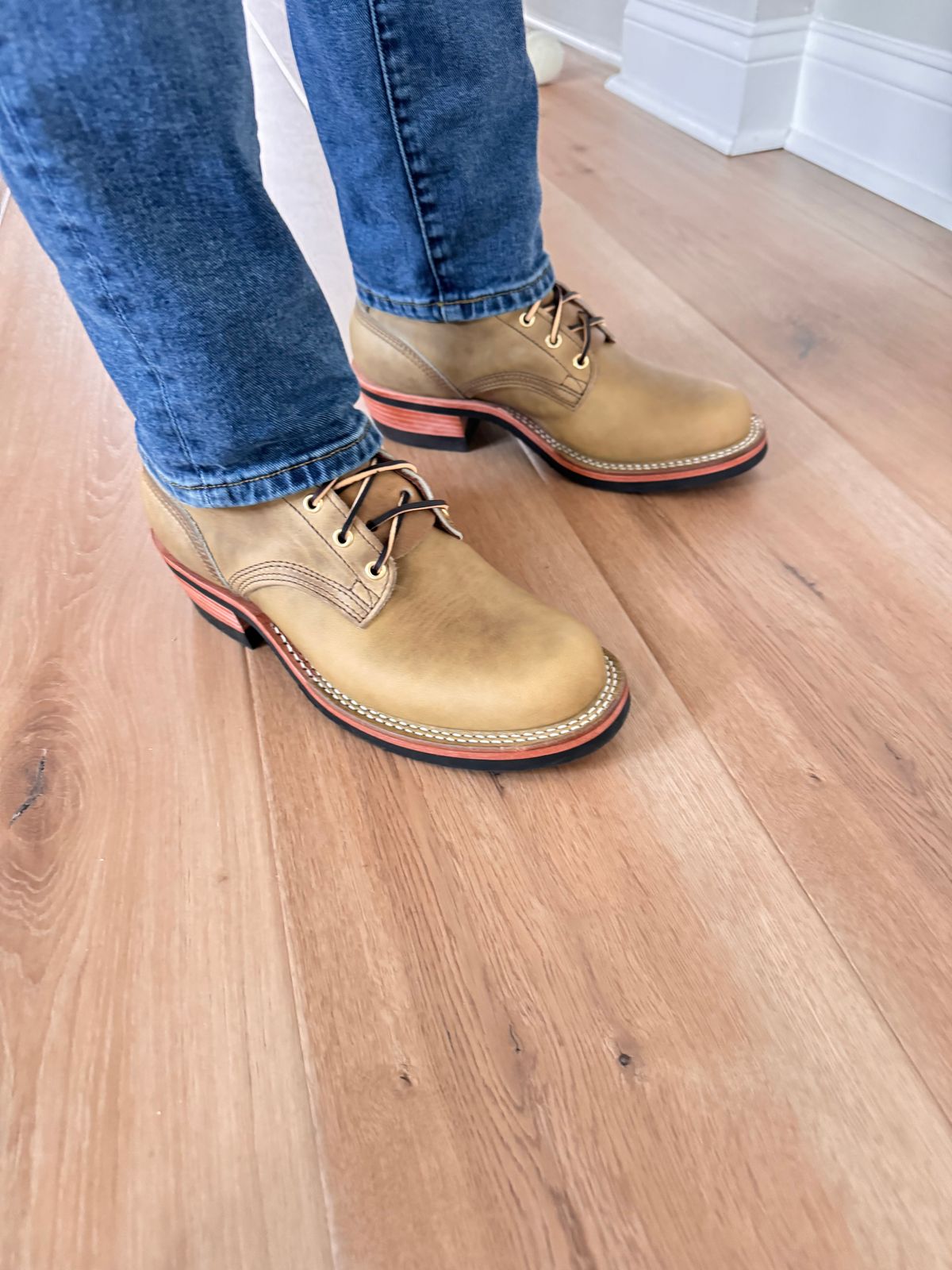 Photo by sjs426 on March 29, 2026 of the Nicks MTO in Sage Chromepak.