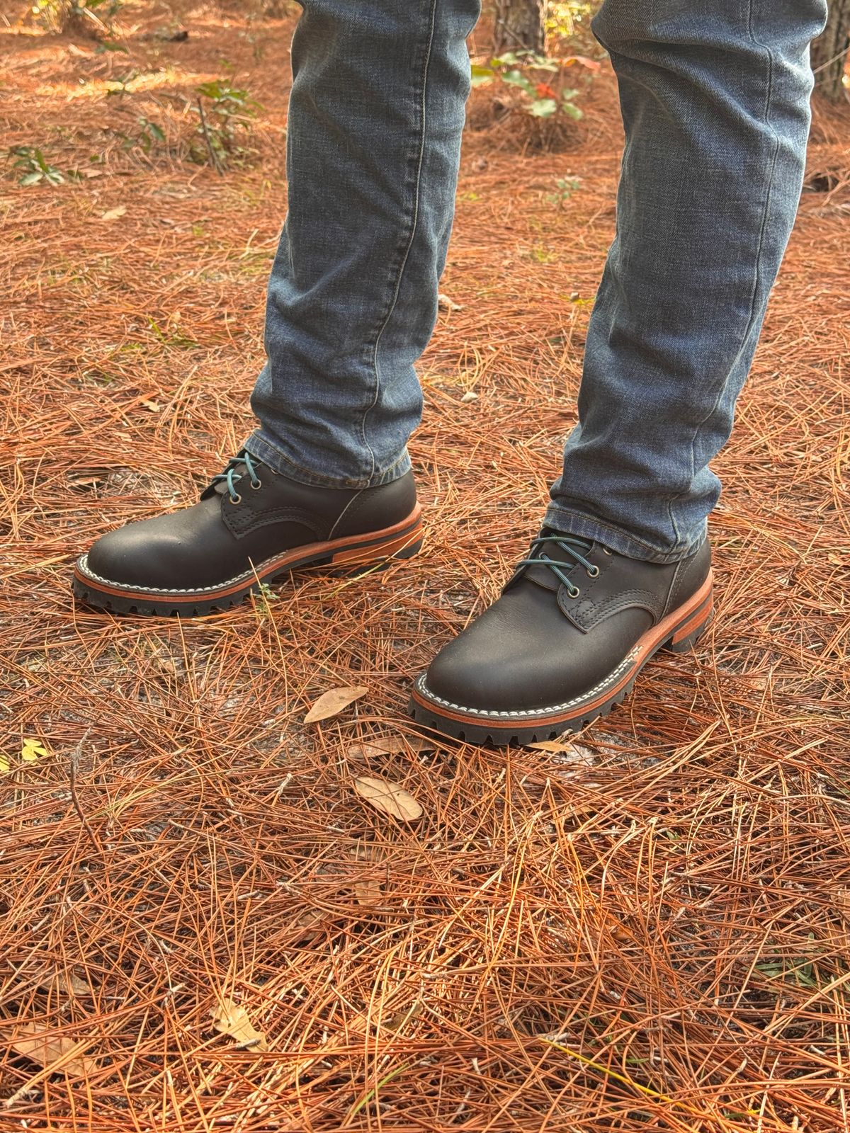 Photo by sjs426 on January 10, 2026 of the Nicks Overlander in Black Chromepak.