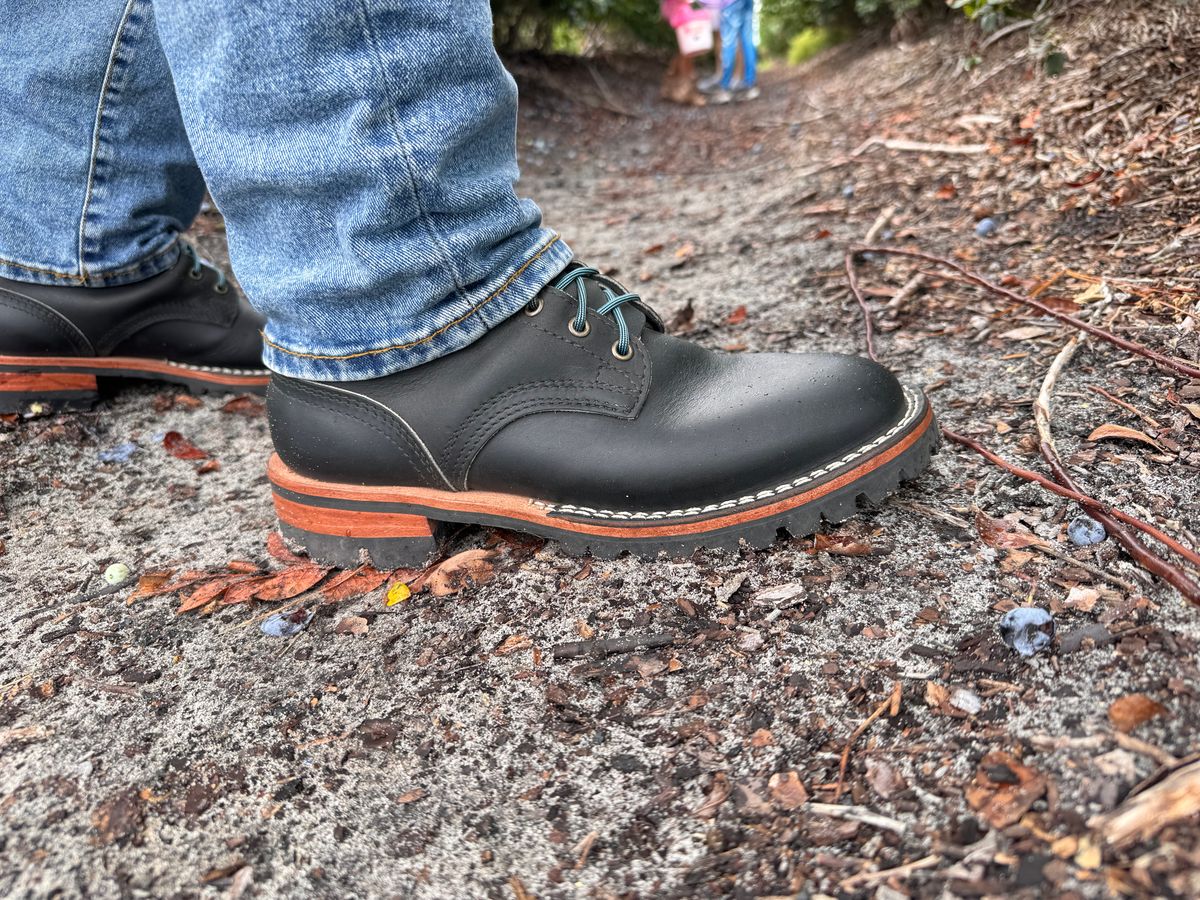 Photo by sjs426 on May 10, 2026 of the Nicks Overlander in Black Chromepak.
