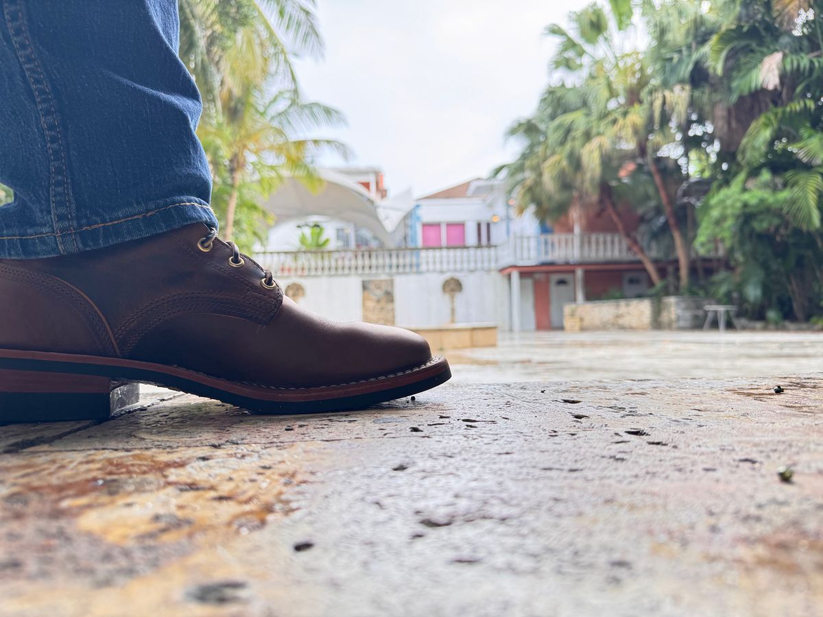 Photo by sjs426 on March 16, 2026 of the Nicks Falcon in Horween Orange Predator.