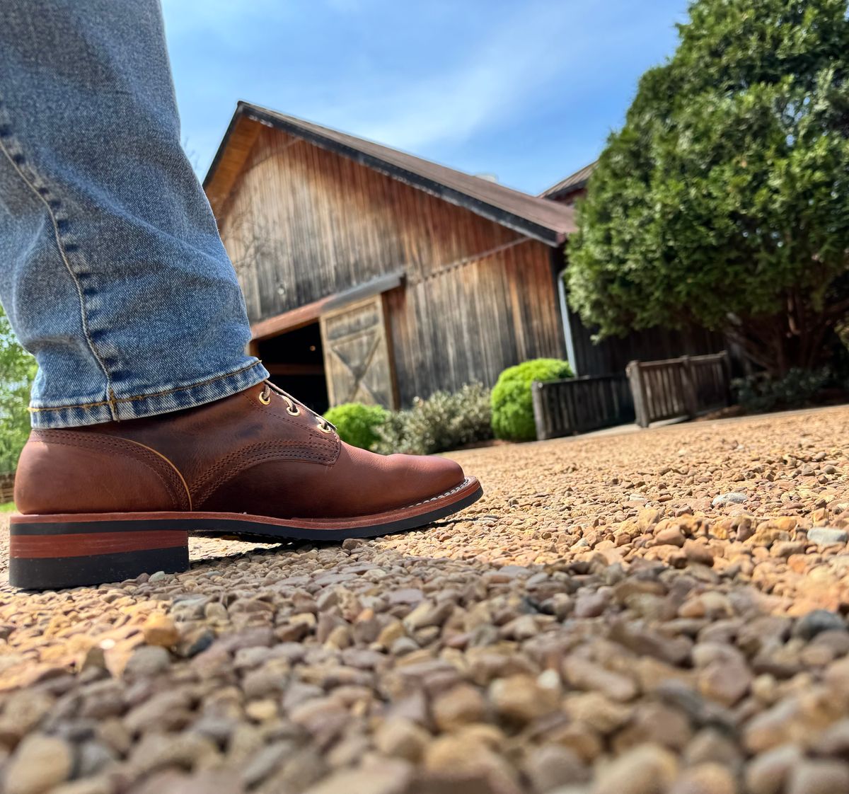 Photo by sjs426 on April 15, 2026 of the Nicks Falcon in Horween Orange Predator.