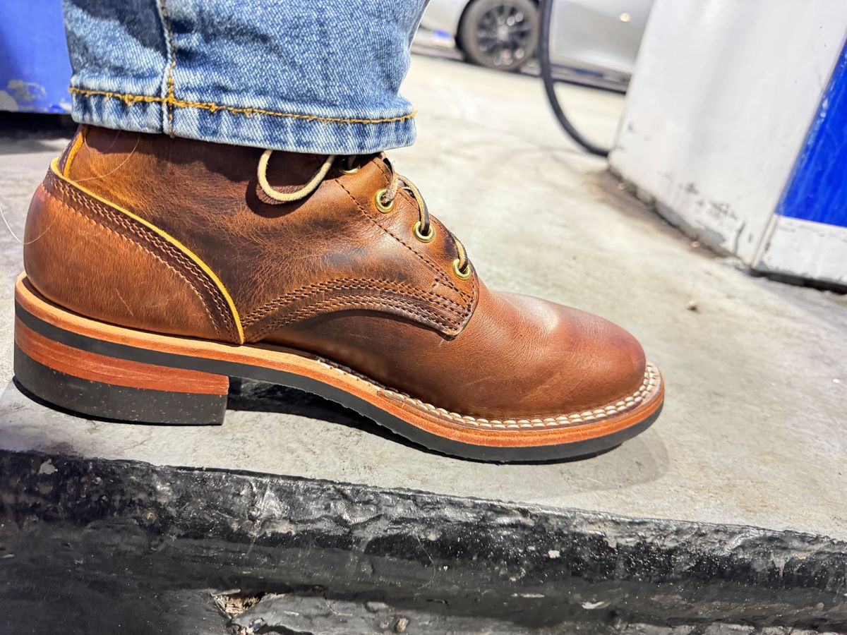 Photo by sjs426 on April 12, 2026 of the Nicks Falcon in Horween Orange Predator.