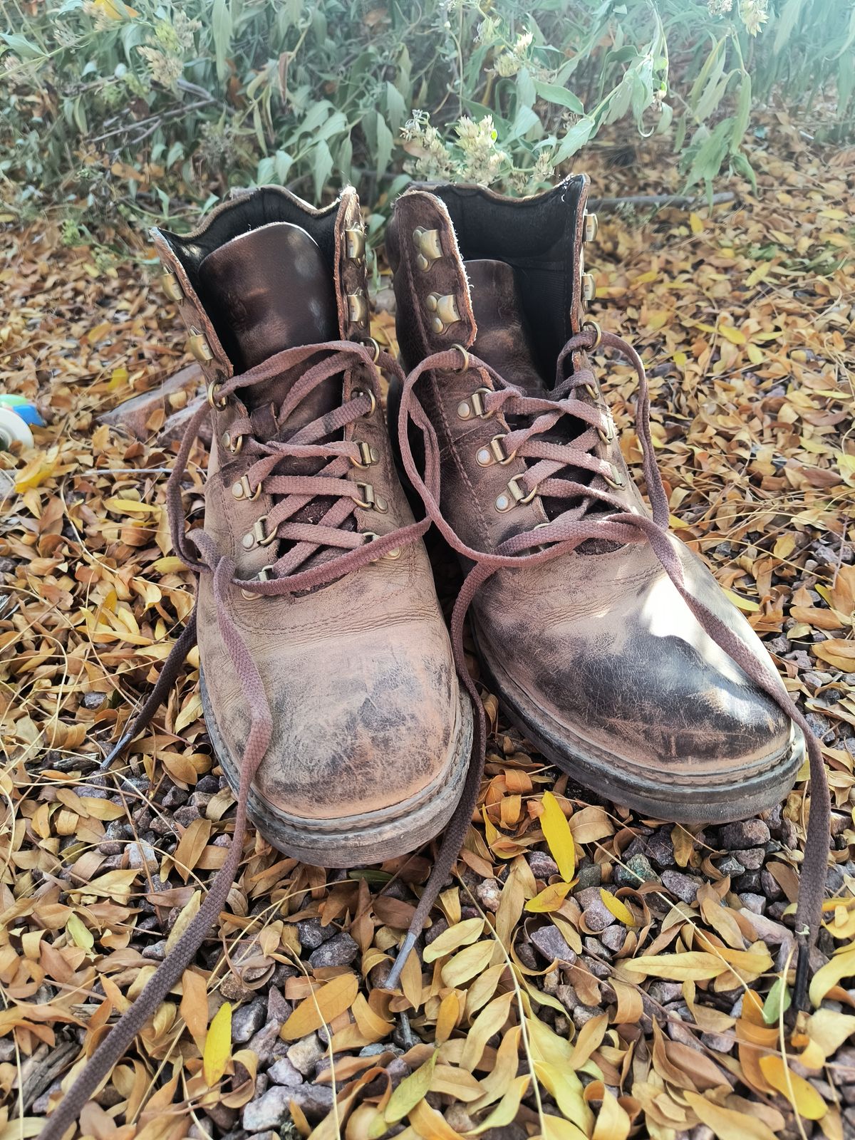 Photo by ArchieGoodyear on October 6, 2024 of the Timberland Similar 6-Inch Boots in Unknown Leather.