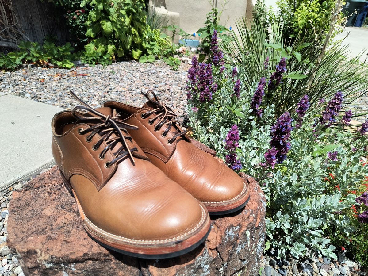 Photo by ArchieGoodyear on July 3, 2024 of the Monroe 38918 in Horween Natural Chromexcel.