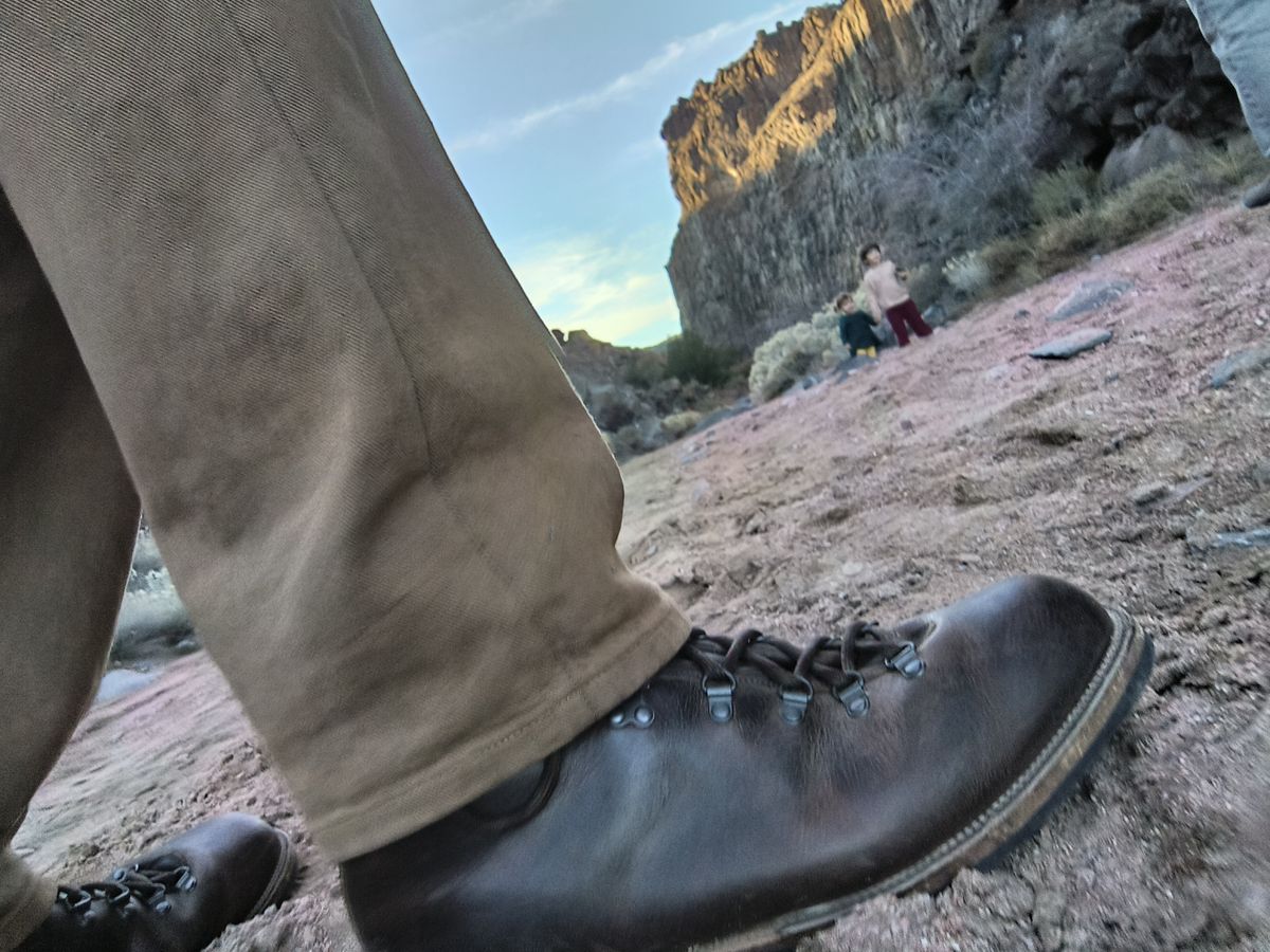 Photo by ArchieGoodyear on November 28, 2025 of the Viberg Pachena Bay in Horween Rowdy Dachshund.