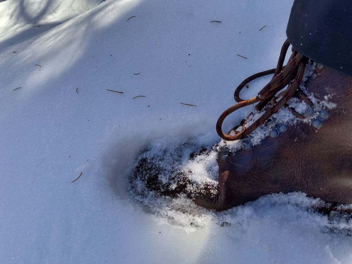 Photo by ArchieGoodyear on December 14, 2025 of the Viberg Pachena Bay in Horween Rowdy Dachshund.