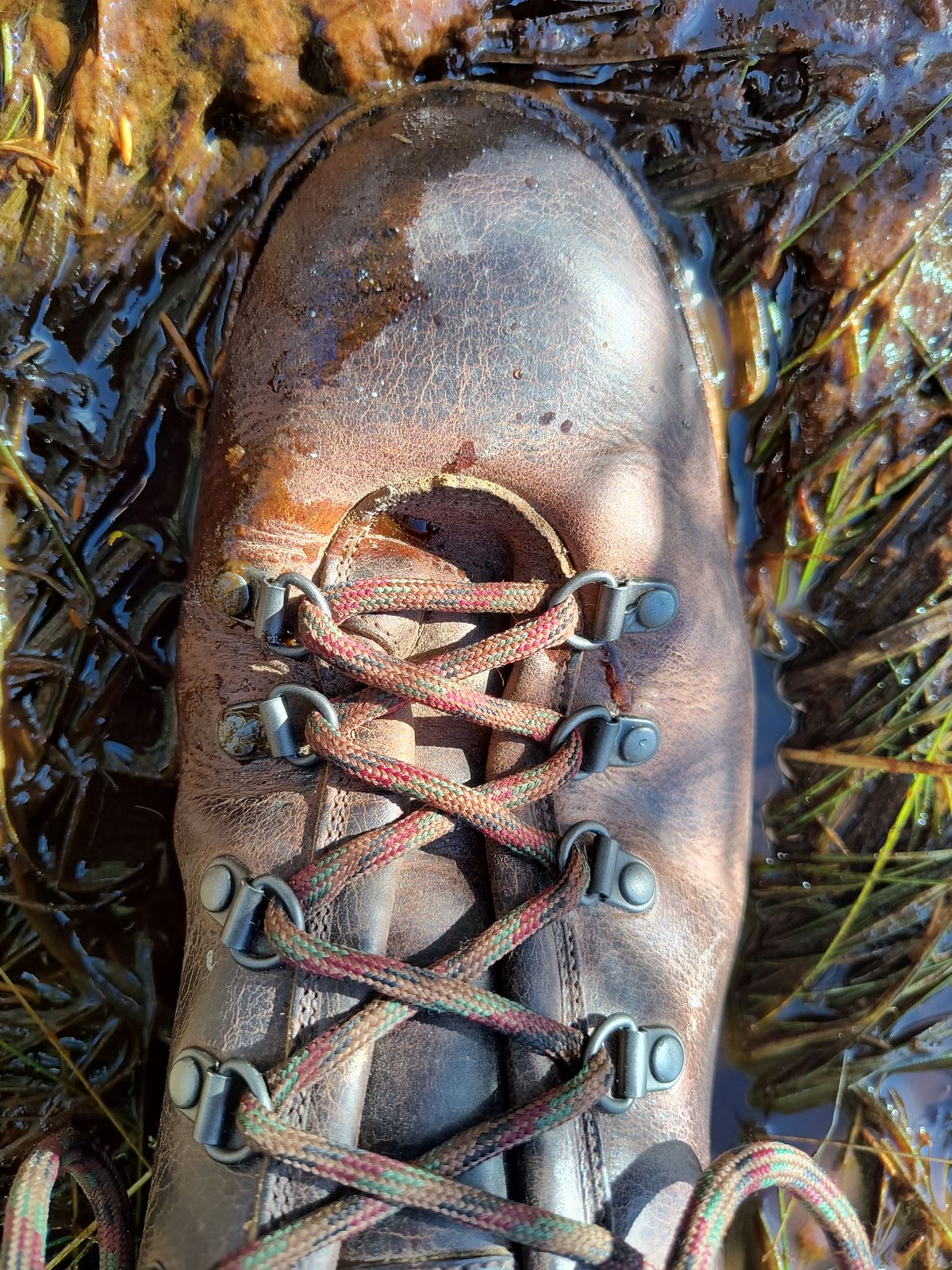 Photo by ArchieGoodyear on December 14, 2025 of the Viberg Pachena Bay in Horween Rowdy Dachshund.