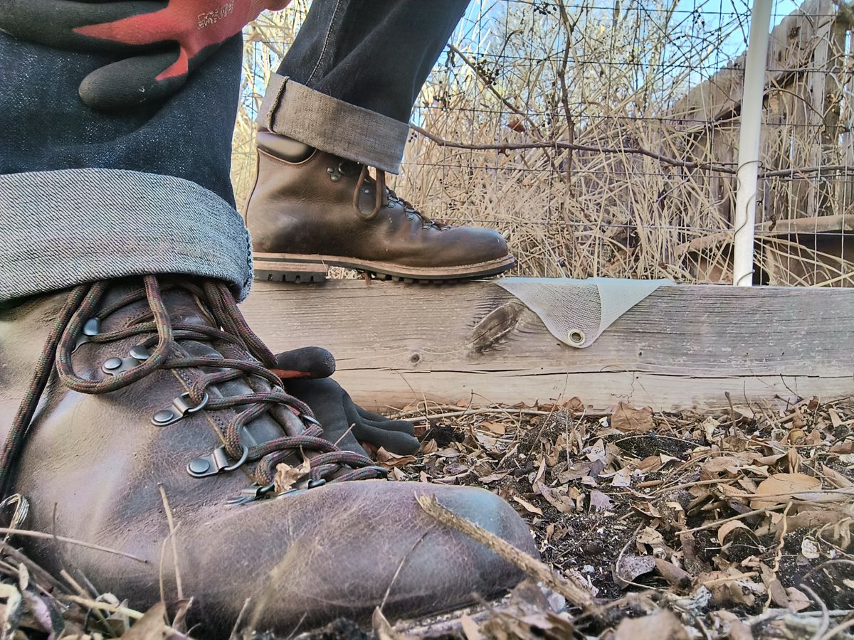 Photo by ArchieGoodyear on December 21, 2025 of the Viberg Pachena Bay in Horween Rowdy Dachshund.