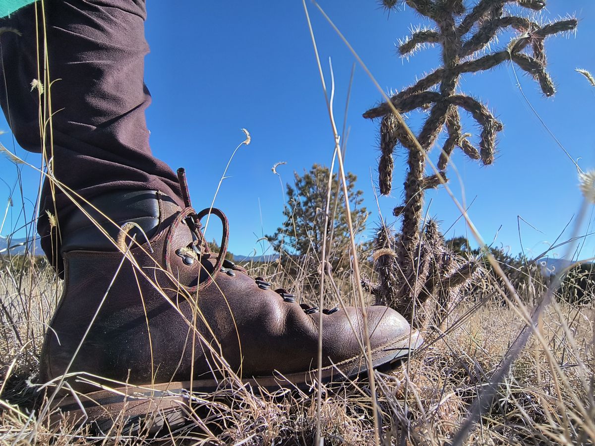 Photo by ArchieGoodyear on January 19, 2026 of the Viberg Pachena Bay in Horween Rowdy Dachshund.