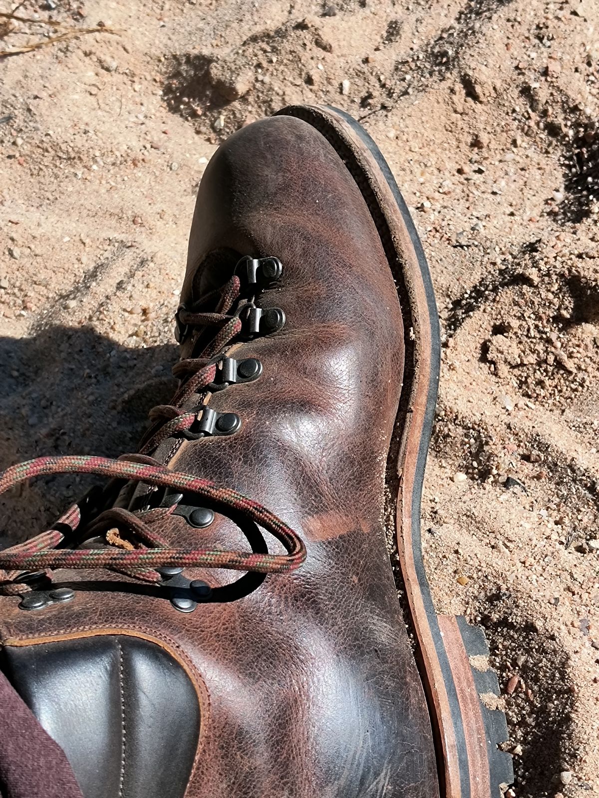 Photo by ArchieGoodyear on January 19, 2026 of the Viberg Pachena Bay in Horween Rowdy Dachshund.