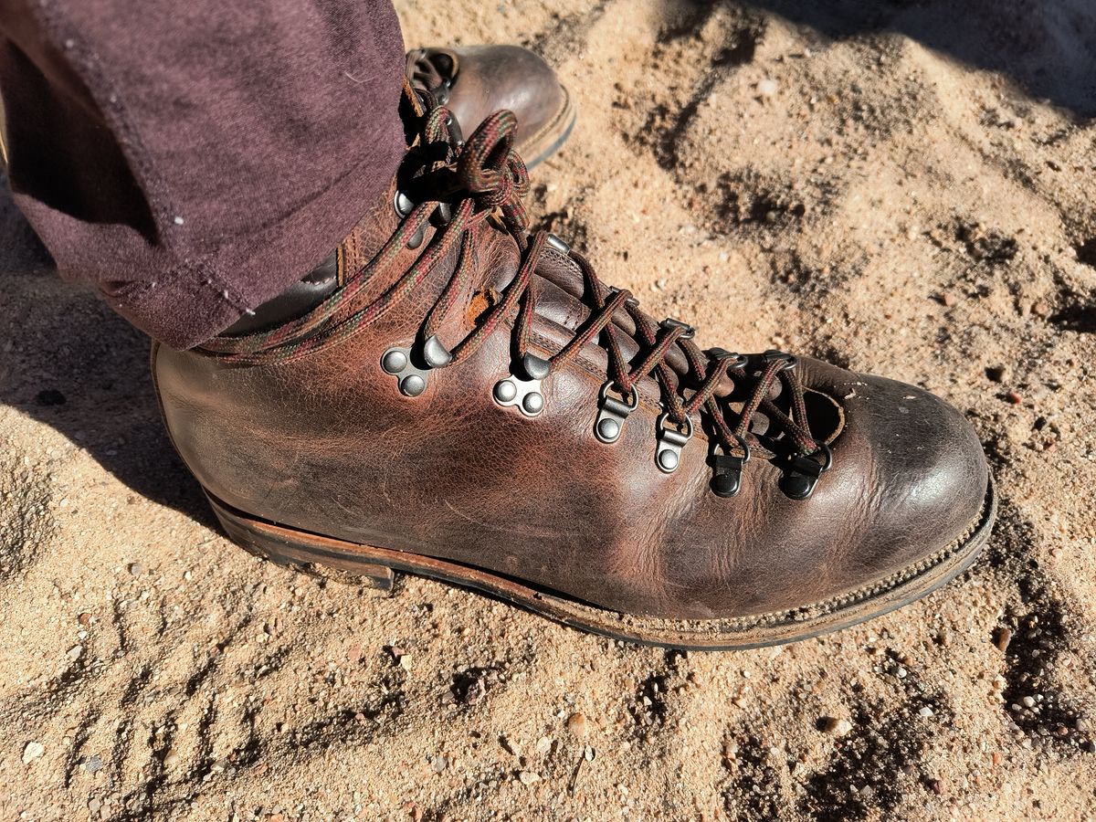 Photo by ArchieGoodyear on January 19, 2026 of the Viberg Pachena Bay in Horween Rowdy Dachshund.