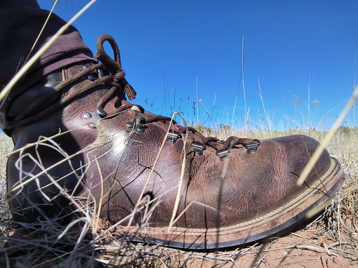 Photo by ArchieGoodyear on January 19, 2026 of the Viberg Pachena Bay in Horween Rowdy Dachshund.