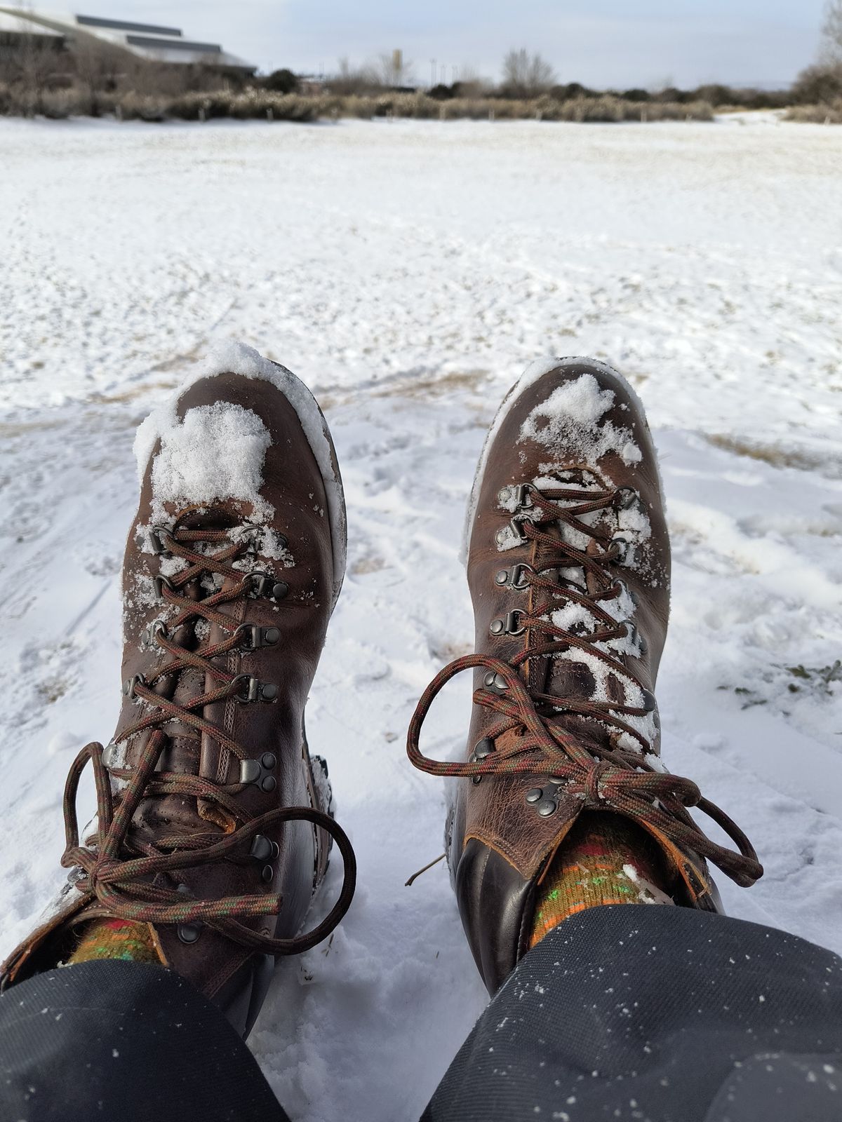 Photo by ArchieGoodyear on January 25, 2026 of the Viberg Pachena Bay in Horween Rowdy Dachshund.